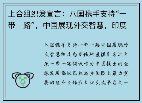 上合组织发宣言：八国携手支持“一带一路”，中国展现外交智慧，印度态度依然谨慎