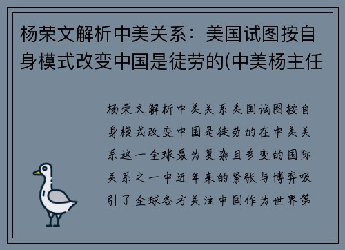 杨荣文解析中美关系：美国试图按自身模式改变中国是徒劳的(中美杨主任讲话视频)