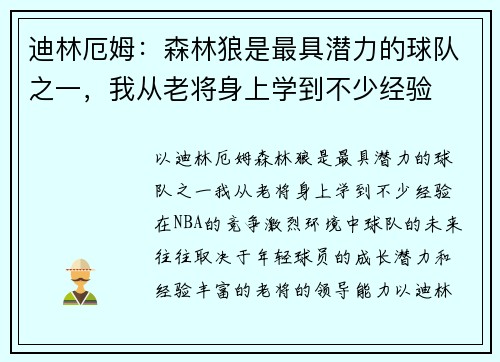 迪林厄姆：森林狼是最具潜力的球队之一，我从老将身上学到不少经验
